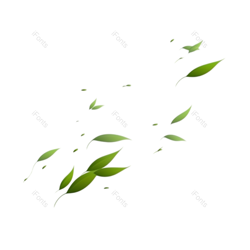 装饰图片,夏天元素,绿叶PNG,简约免抠素材